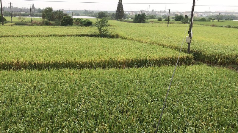 点击打开原图