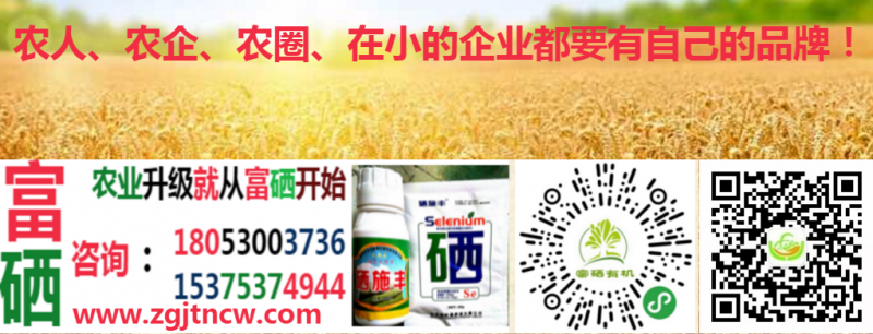 点击打开原图