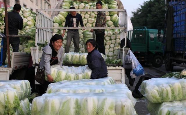 为什么年复一年农民卖菜难？根源在这里：一年种菜能供150亿人吃