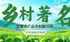 2025年中央财政强农惠农富农政策清单（农业农村部）