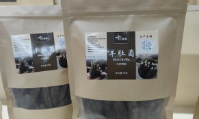 包括食药用菌！这一《条例》公布，6月1日起施行！