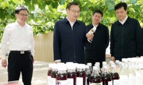 为这个重大任务，省委书记连续调研