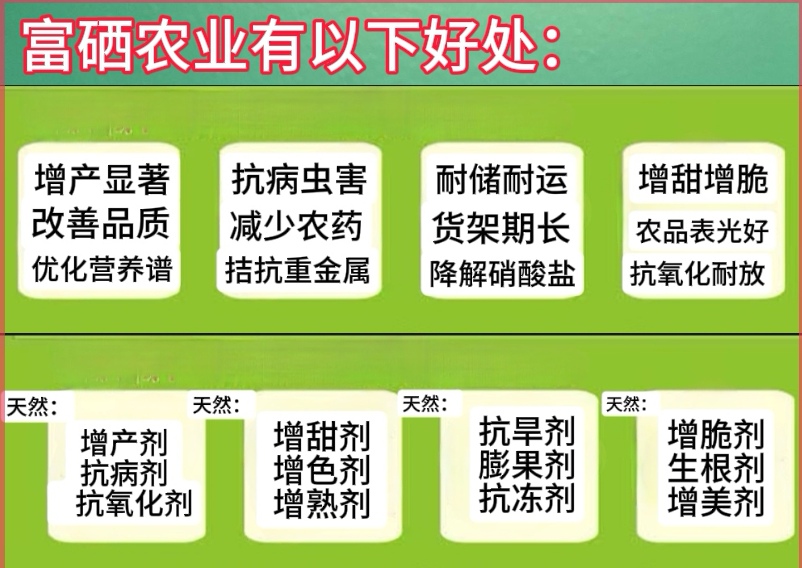 微信图片_2025-07-04_190944_988.jpg