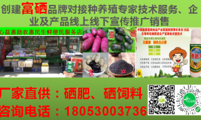 国家级 “十五五” 专项规划（已更新22项）